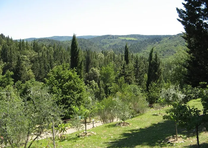 Daire Tenuta La Cipresseta